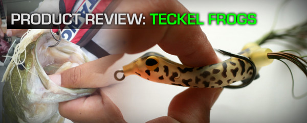 2015-Teckel-Frogs-600x241_1.jpeg
